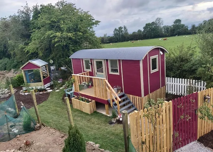 The Feathers Shepherds Hut