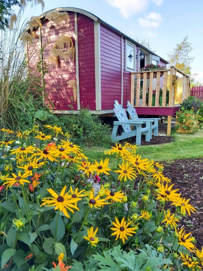 The Feathers Shepherds Hut Luxury tent
