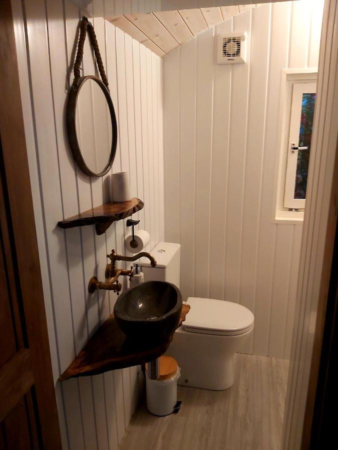 The Feathers Shepherds Hut *