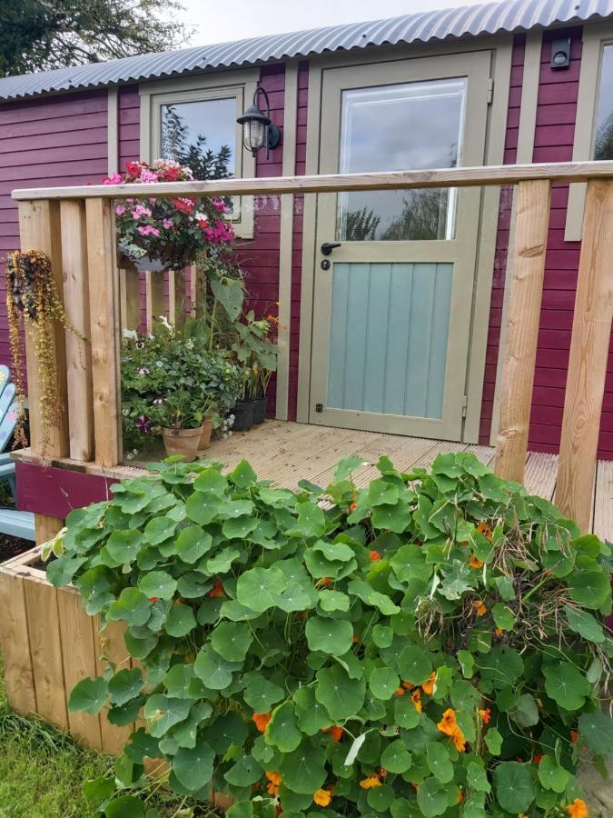 The Feathers Shepherds Hut Ath Eascrach